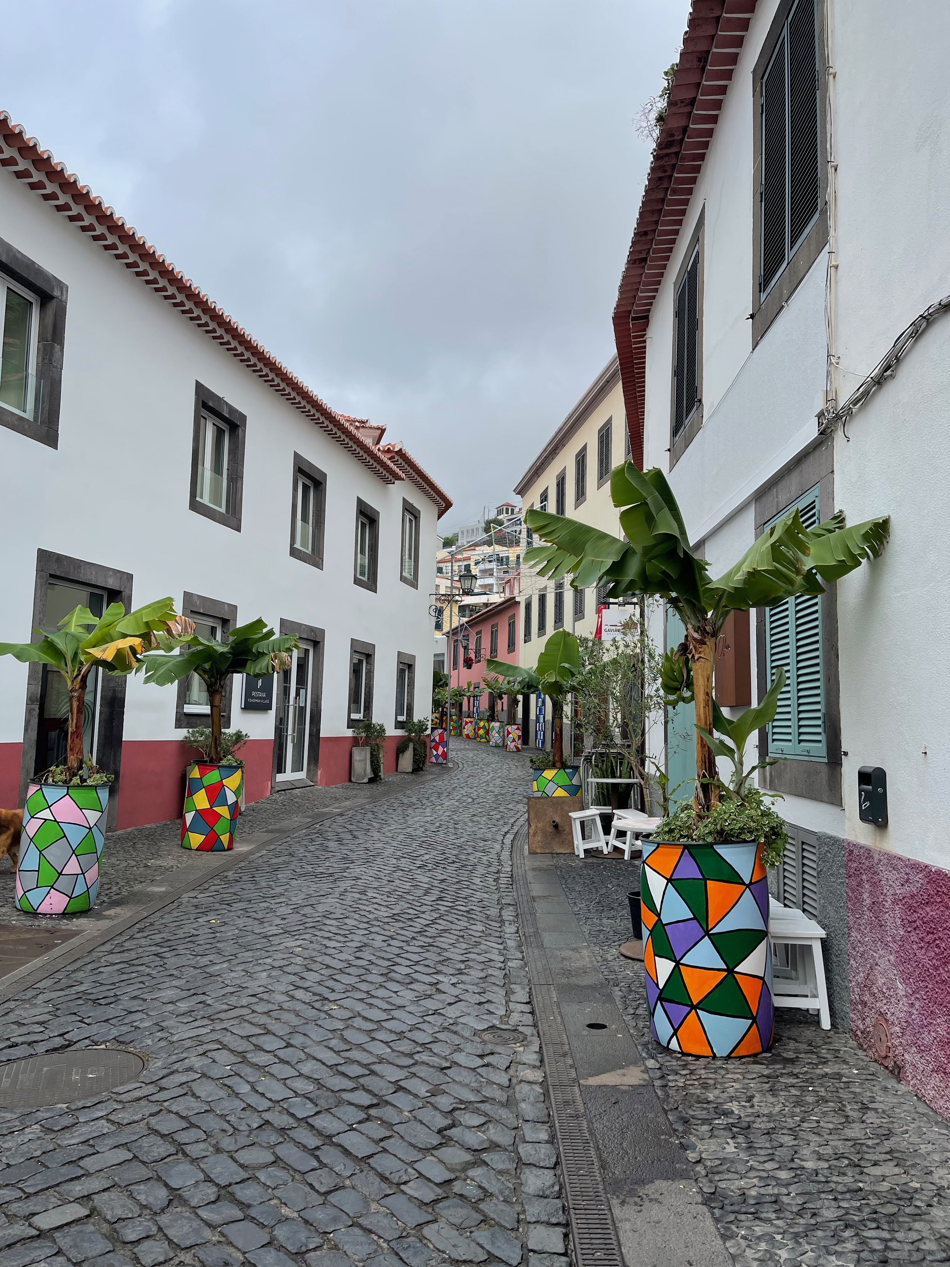 Madeira – The truth about visiting in winter – Day 3