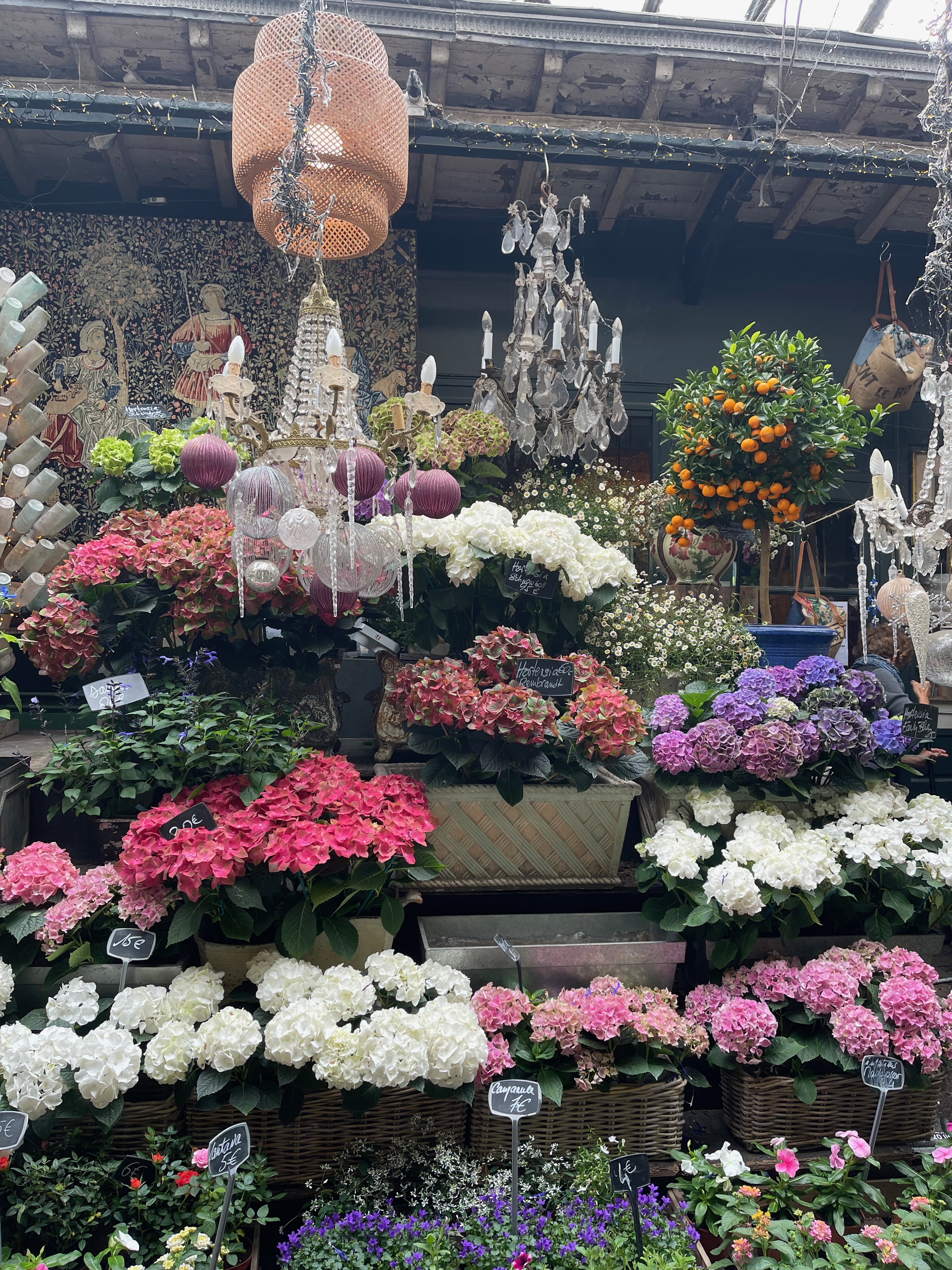 Paris – The best of the City of Lights – Day 1