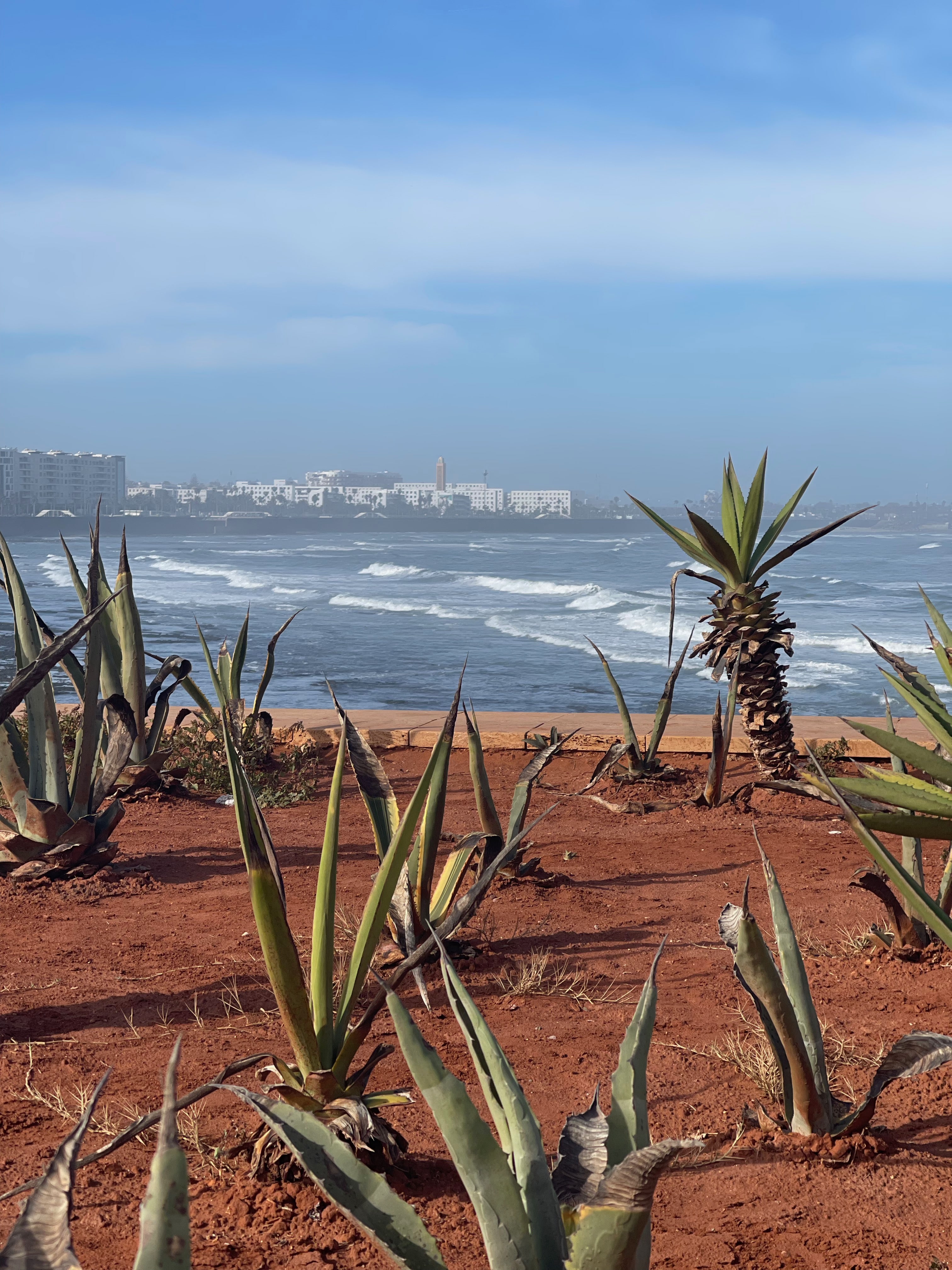 Casablanca, Morocco – How to visit in one day – Day 3