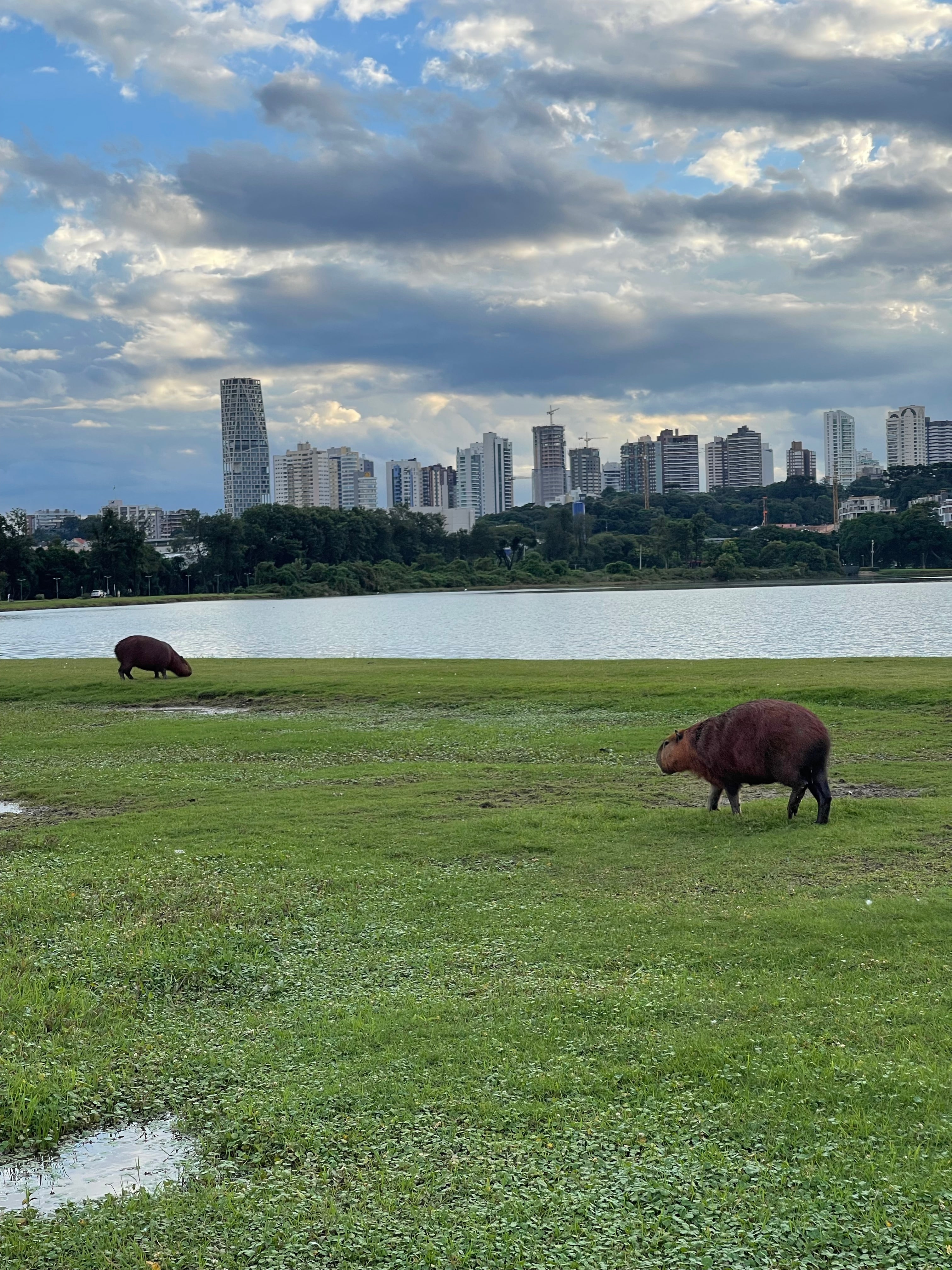Curitiba in a quick visit, Paraná, Brazil